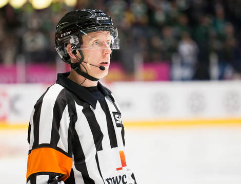 Domare Mikael Holm