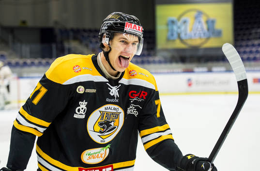 Bläddra bland fler bilder av Ishockey, Hockeyallsvenskan, Pantern - AIK