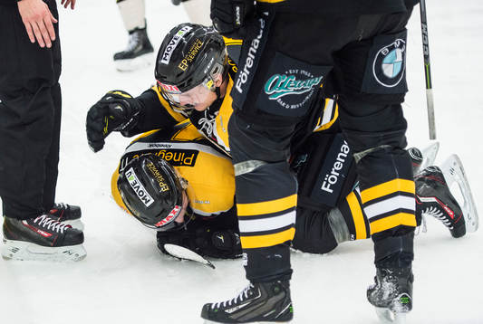 Panterns Pontus Netterberg kramar om Erik Nyström på isen