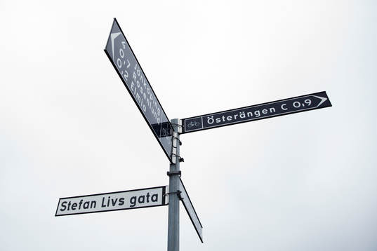 Vägskyltar visar Stefan Livs gata