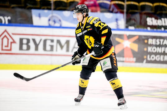 Skellefteås Isak Stenlund-Ädelgran