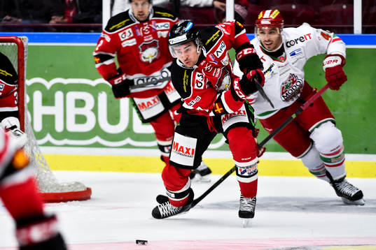 Bläddra bland fler bilder av Ishockey, SHL, Malmö Redhawks - Modo