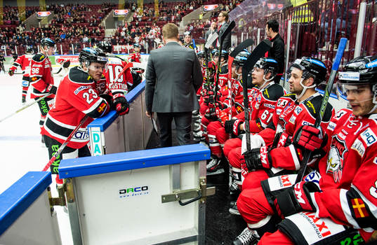 Malmö Redhawks spelar i båset