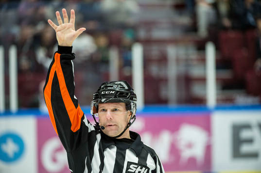 Domare Wolmer Edqvist