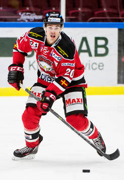 Malmö Redhawks Henrik Hetta