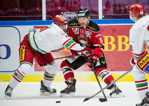 Modos Oscar Hedman och Ludvig Nilsson