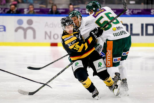 Skellefteås Andrew Calof
