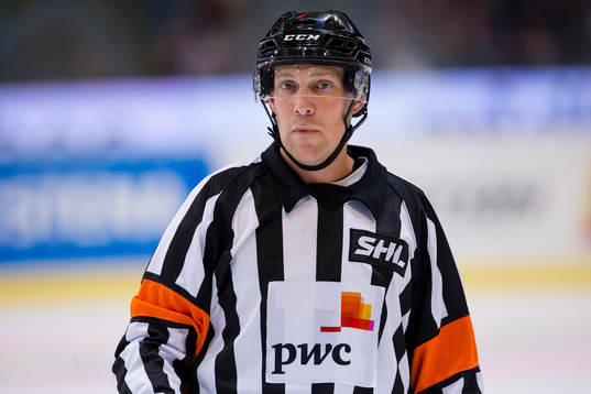 Domare Morgan Johansson