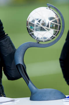 Kronprinsessan Victorias pokal