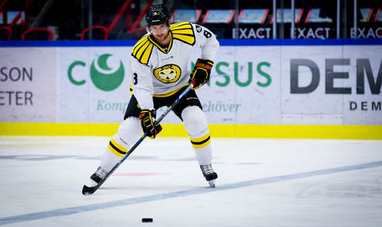 Brynäs Mathias Porseland