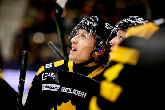 Skellefteås John Norman jublar
