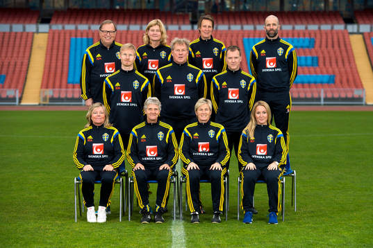 Sveriges ledarstab