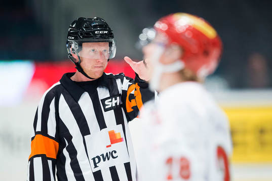 Domare Mikael Holm