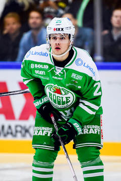 Rögles Ludvig Elevenes