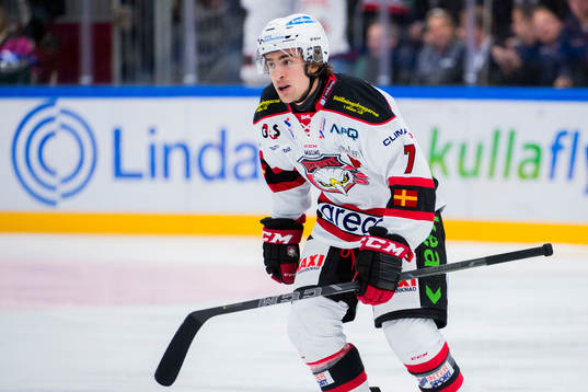 Malmö Redhawks Nils Andersson