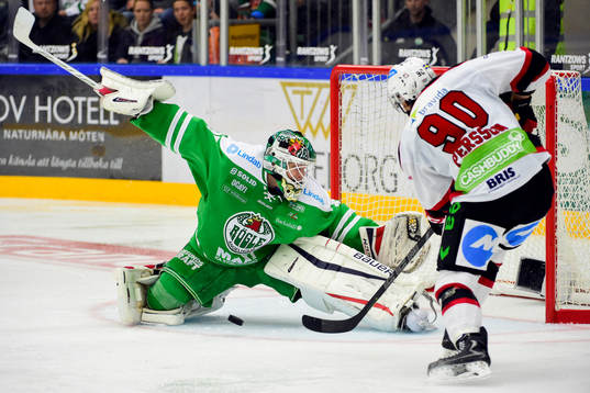 Bläddra bland fler bilder av Ishockey, SHL, Rögle - Malmö Redhawks