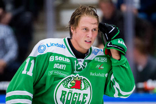 Rögles David Åslin