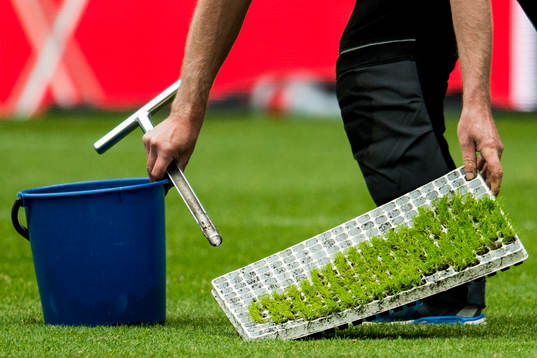 För att förbättra gräskvaliteten på Swedbank Stadion