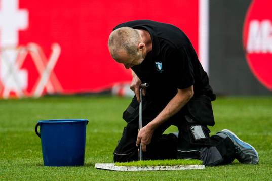 För att förbättra gräskvaliteten på Swedbank Stadion