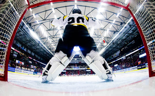 Brynäs målvakt Bernhard Starkbaum jublar