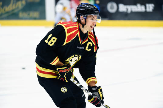 Brynäs Anton Rödin