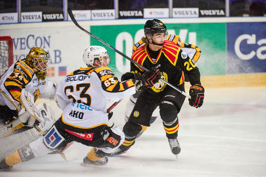 Brynäs Adam Brodecki