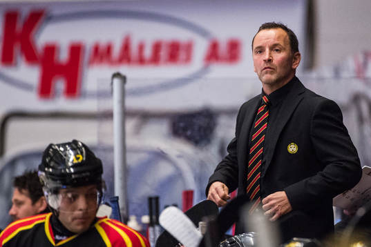 Brynäs tränare Thomas Berglund