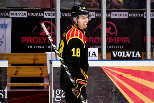 Brynäs Anton Rödin deppar