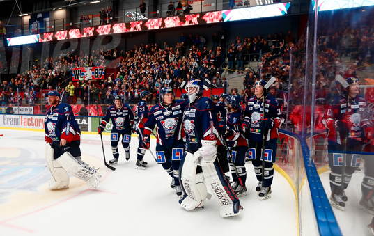 Linköping jublar
