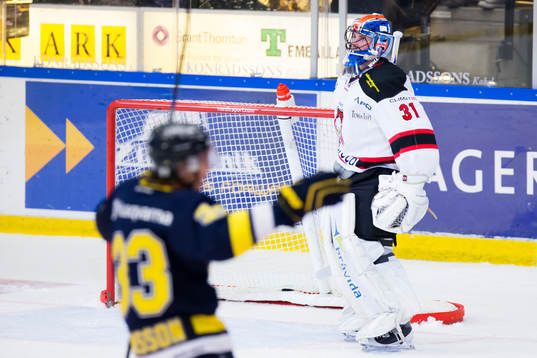 s Niklas Hansson jublar och Malmö Redhawks målvakt Mika
