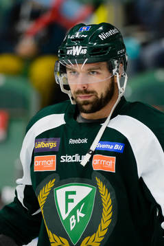 Färjestads Milan Gulas