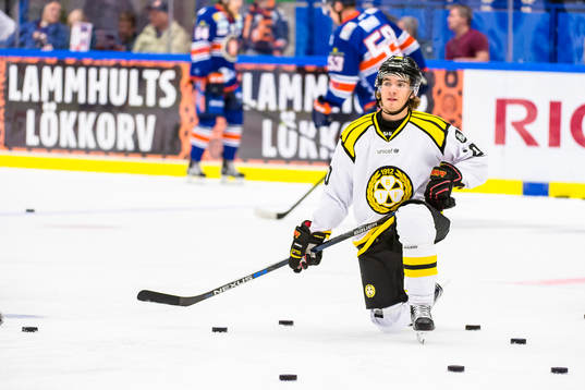 Brynäs Adam Brodecki