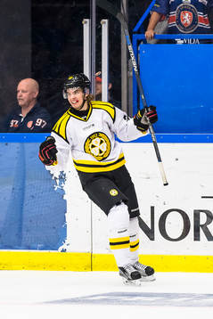 Brynäs Adam Brodecki jublar