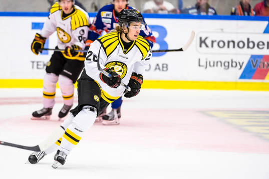 Brynäs Adam Brodecki