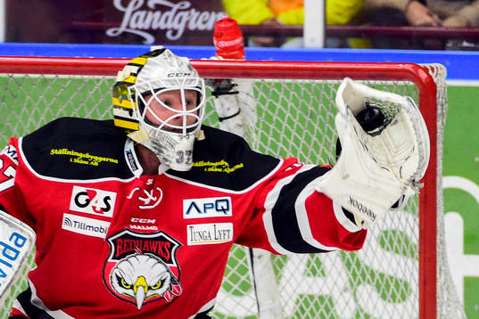 Malmö Redhawks målvakt Jonas Gunnarsson