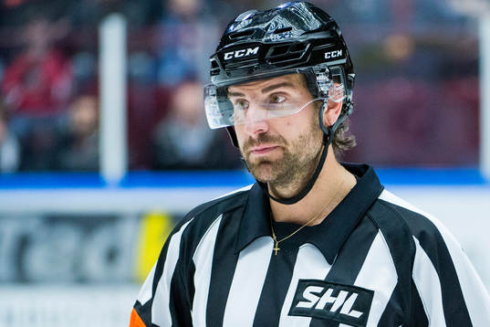 Domare Mikael Sjöqvist