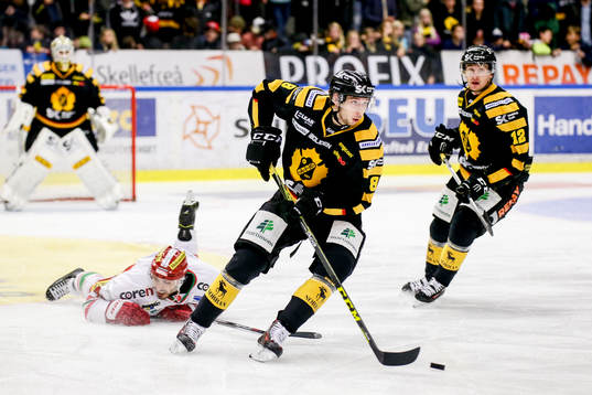Skellefteås Marcus Pettersson