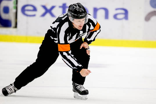 Domaren Wolmer Edqvist