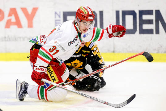 Modos Gustav Possler