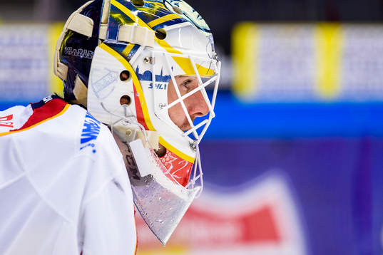 Djurgårdens målvakt Mikael Tellqvist på uppvärmningen