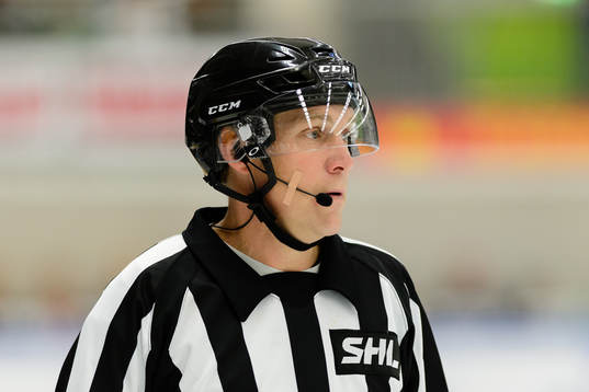 Domare Morgan Johansson
