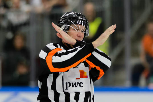 Domare Morgan Johansson