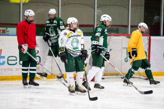 Anton Jernemyr (främst) Ungdomar i Tingsryds U16 lag