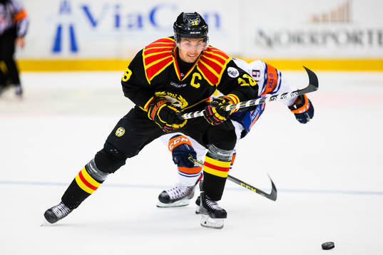 Brynäs Anton Rödin