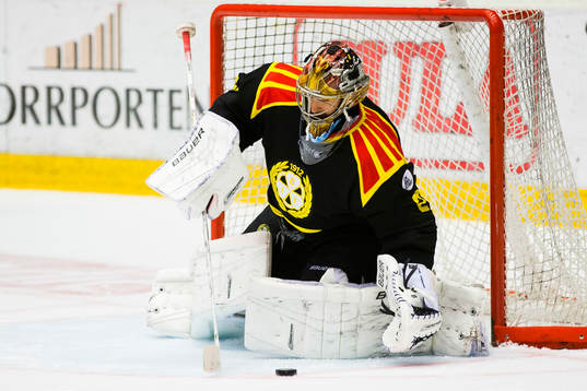 Brynäs målvakt Bernhard Starkbaum
