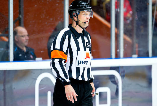 Domare Mikael Nord