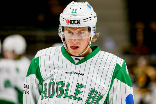 Rögles David Åslin