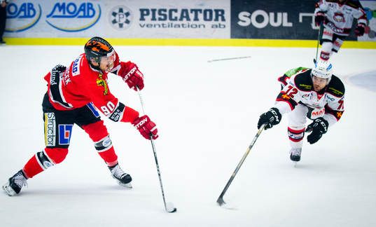 Örebros Libor Hudacek och Malmö Redhawks TJ Galiardi