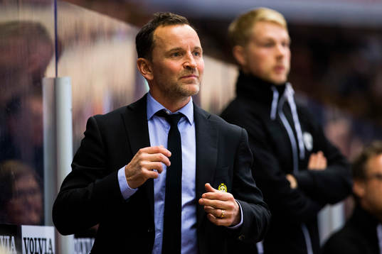 Brynäs tränare Thomas Berglund
