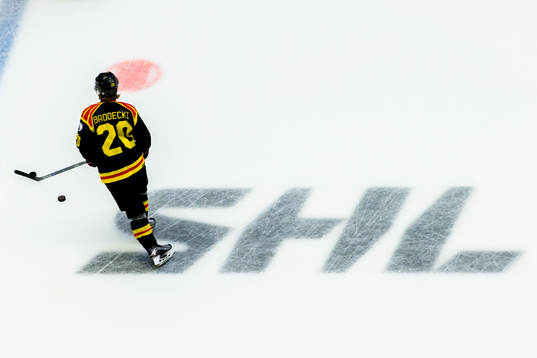 Brynäs Adam Brodecki